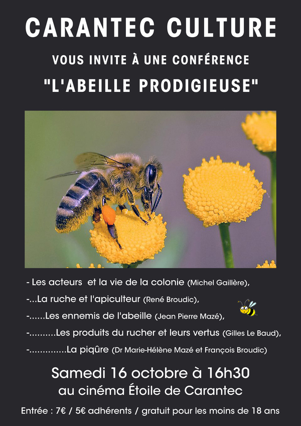 AfficheAbeilles